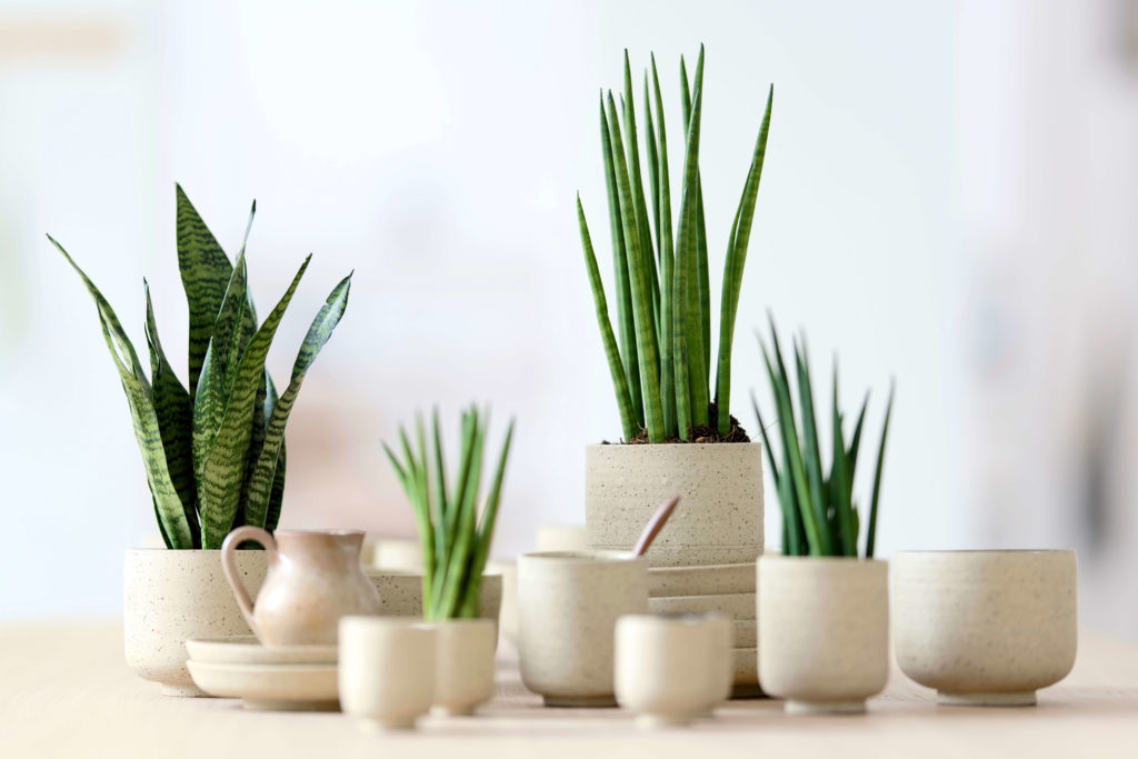 Care | Green is...